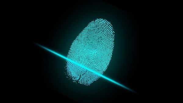 Weryfikacja uprawnień dostępowych na podstawie analizy cech biometrycznych – jak to działa?